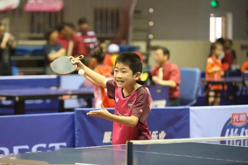 国乒乓球队 国乒乓球队